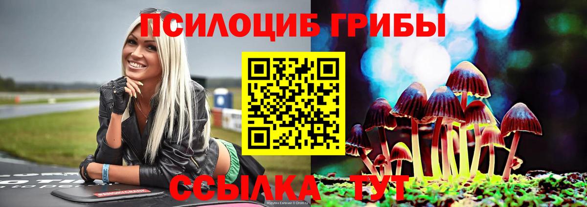 Псилоцибиновые грибы мицелий Златоуст